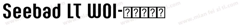 Seebad LT W01字体转换